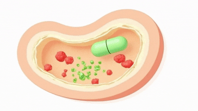 Stap 2: enzymen activeren